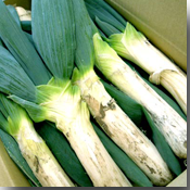 ��쑺�X�і��؁F���m�c�l�M�̔̔��y�[�W�փW�����v���܂�